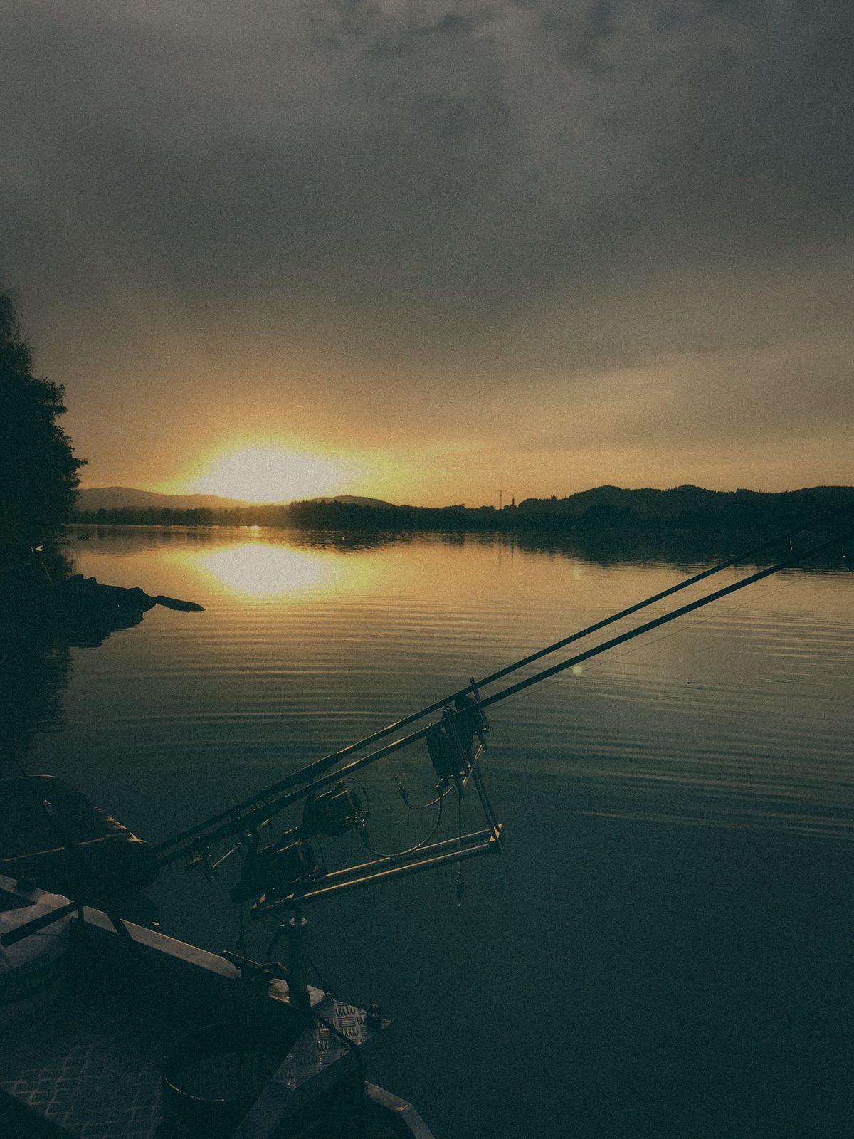 Styria Carp 2020