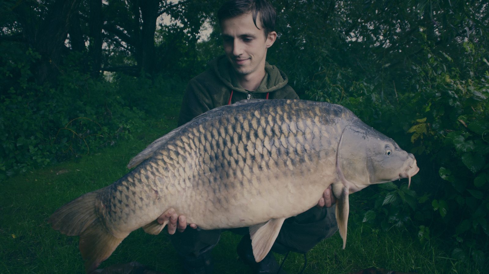 Styria Carp