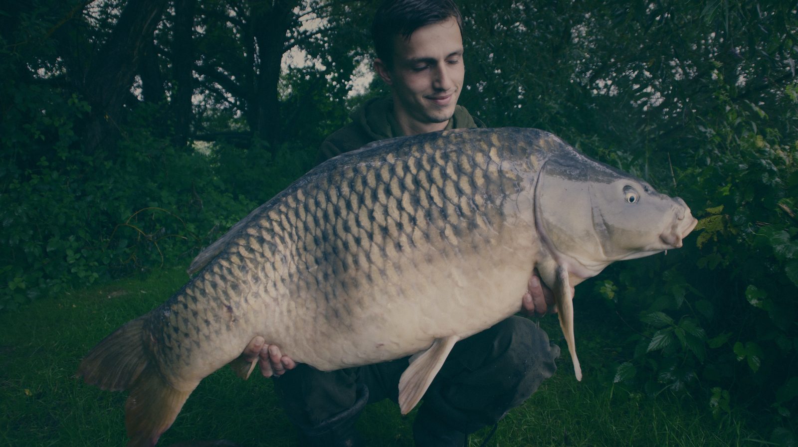 Styria Carp