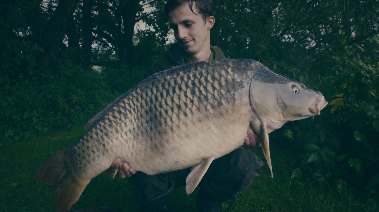 Styria Carp