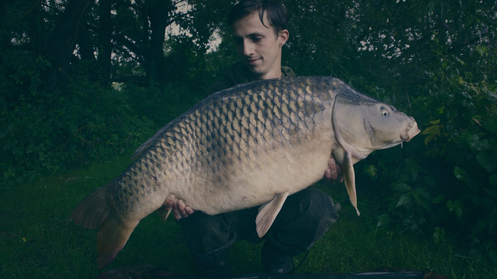 Styria Carp