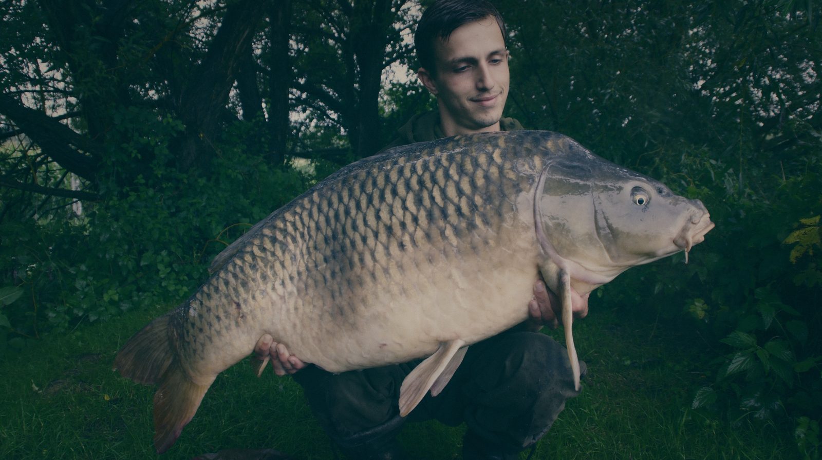 Styria Carp