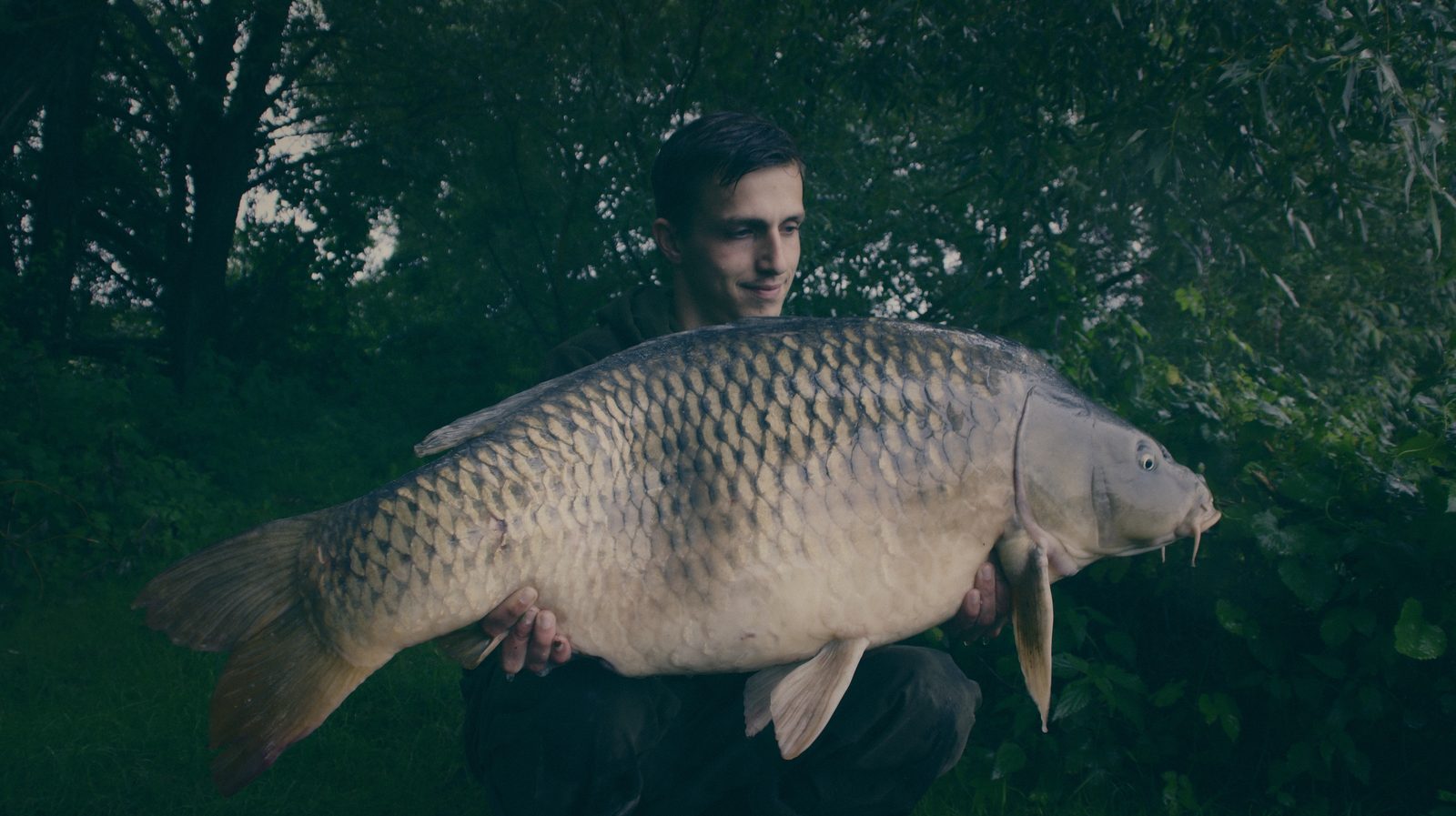 Styria Carp