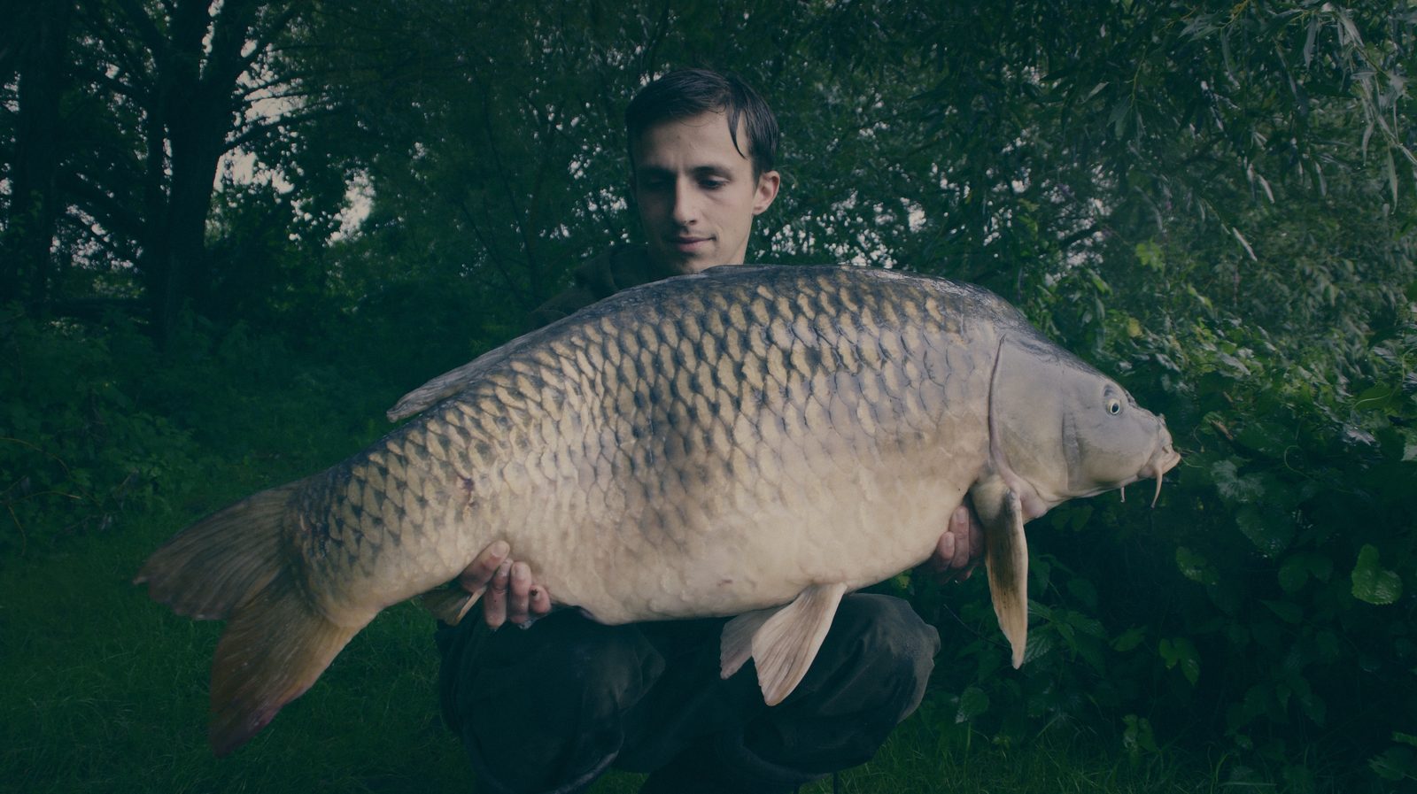 Styria Carp