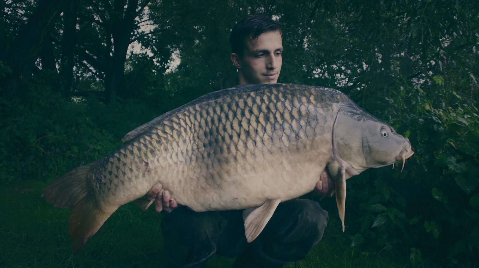 Styria Carp
