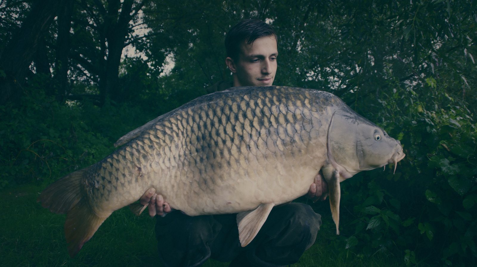 Styria Carp