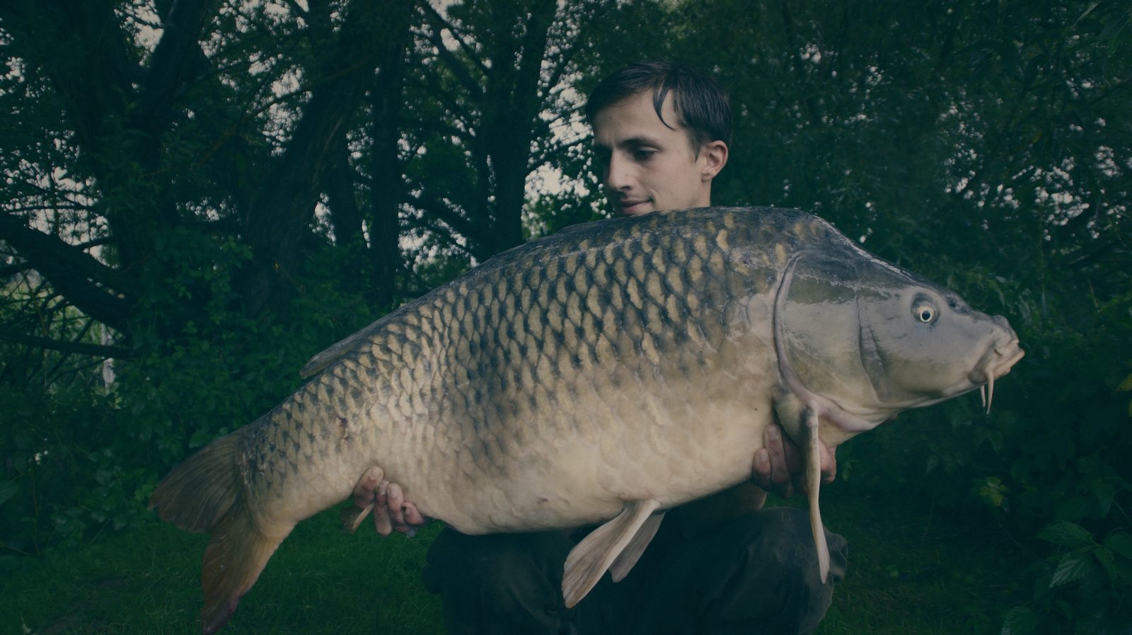 Styria Carp