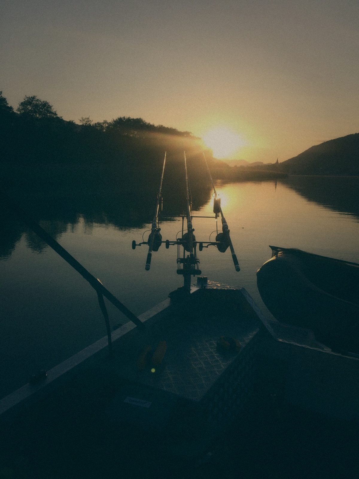 Styria Carp 2018