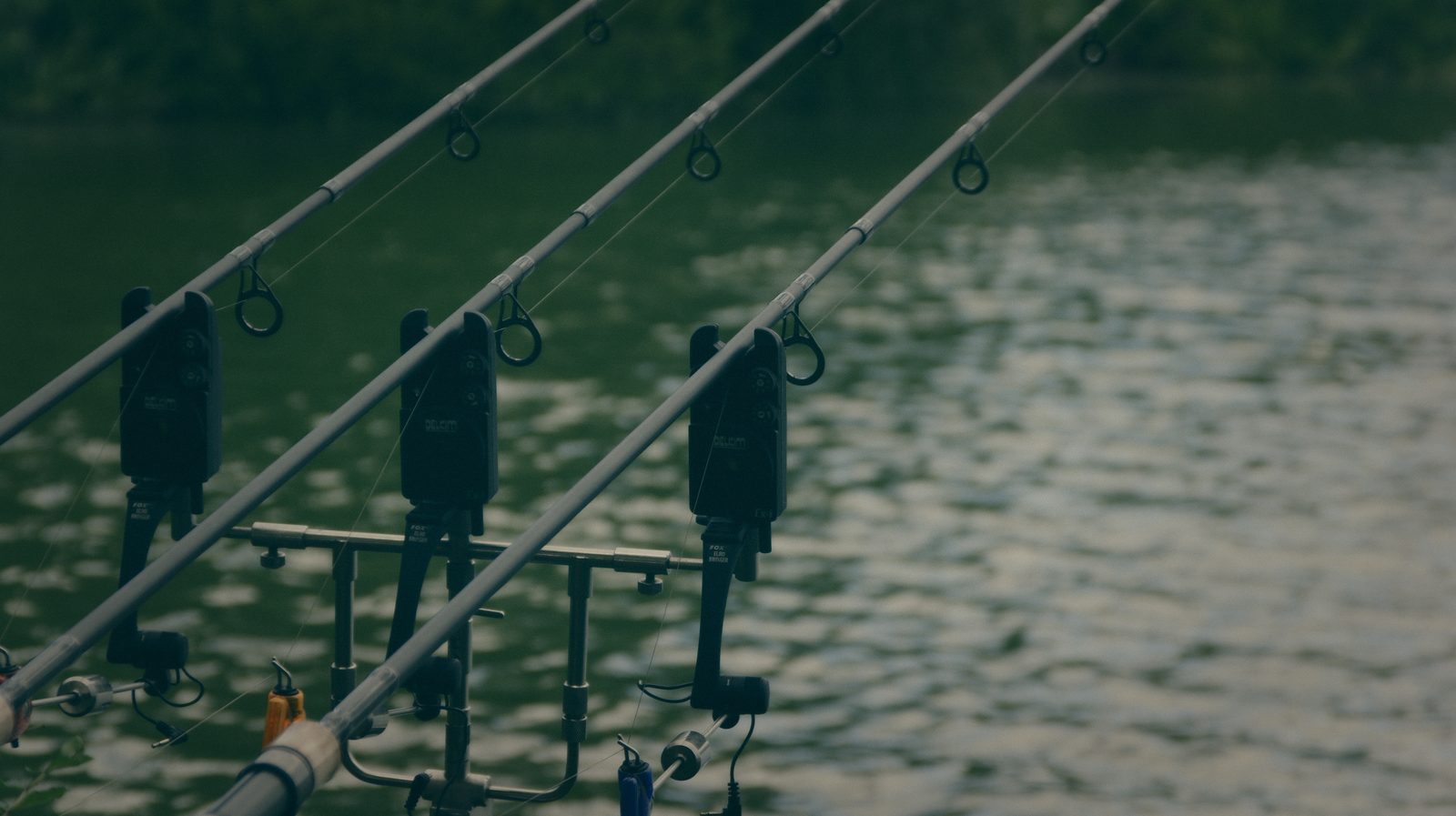 Styria Carp