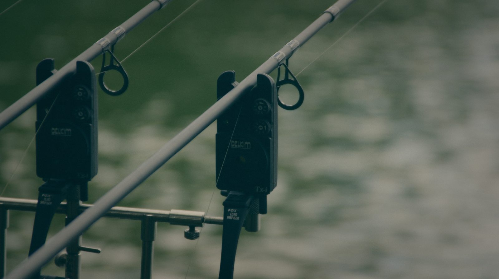 Styria Carp