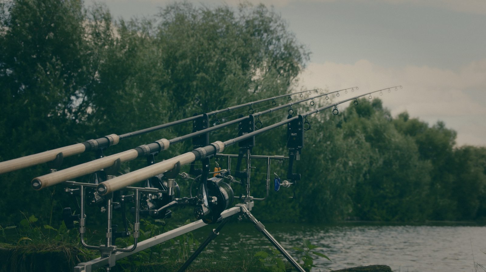 Styria Carp