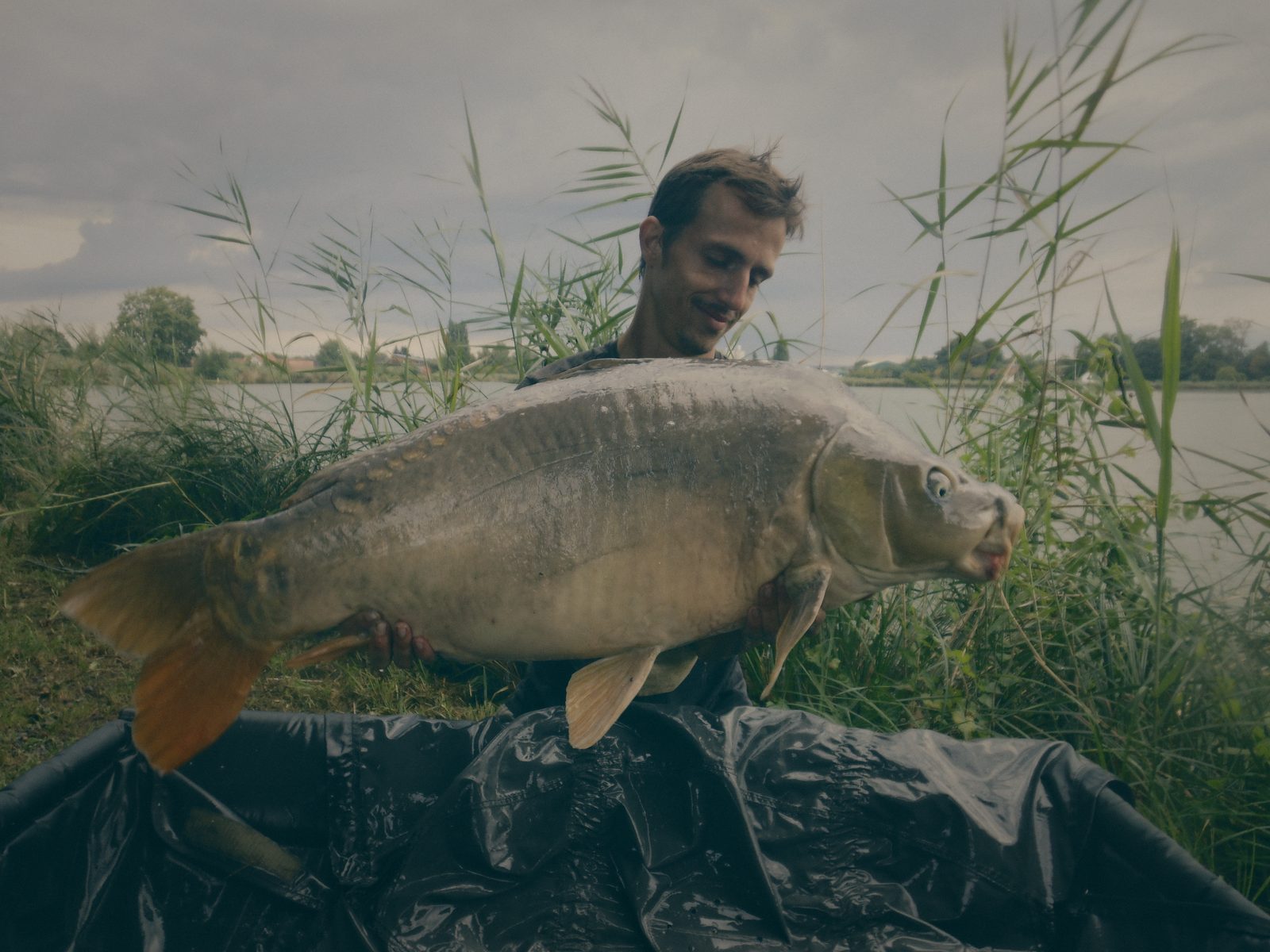 Styria Carp