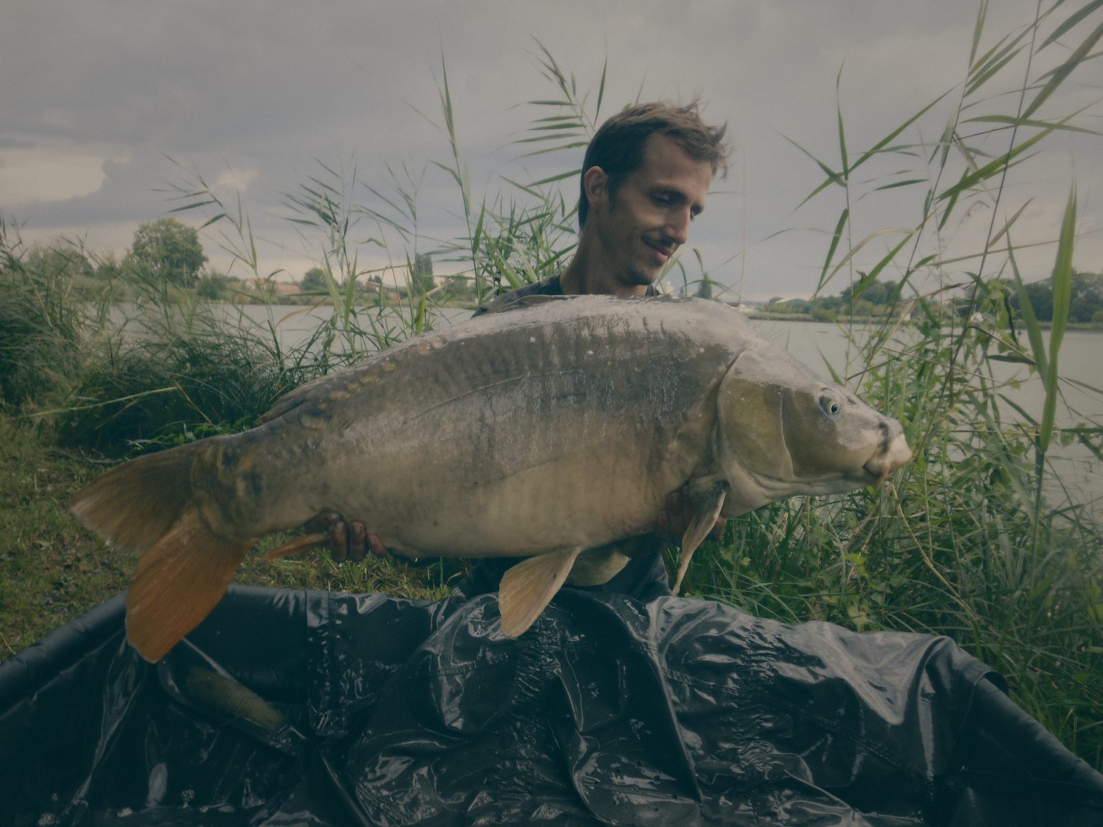 Styria Carp
