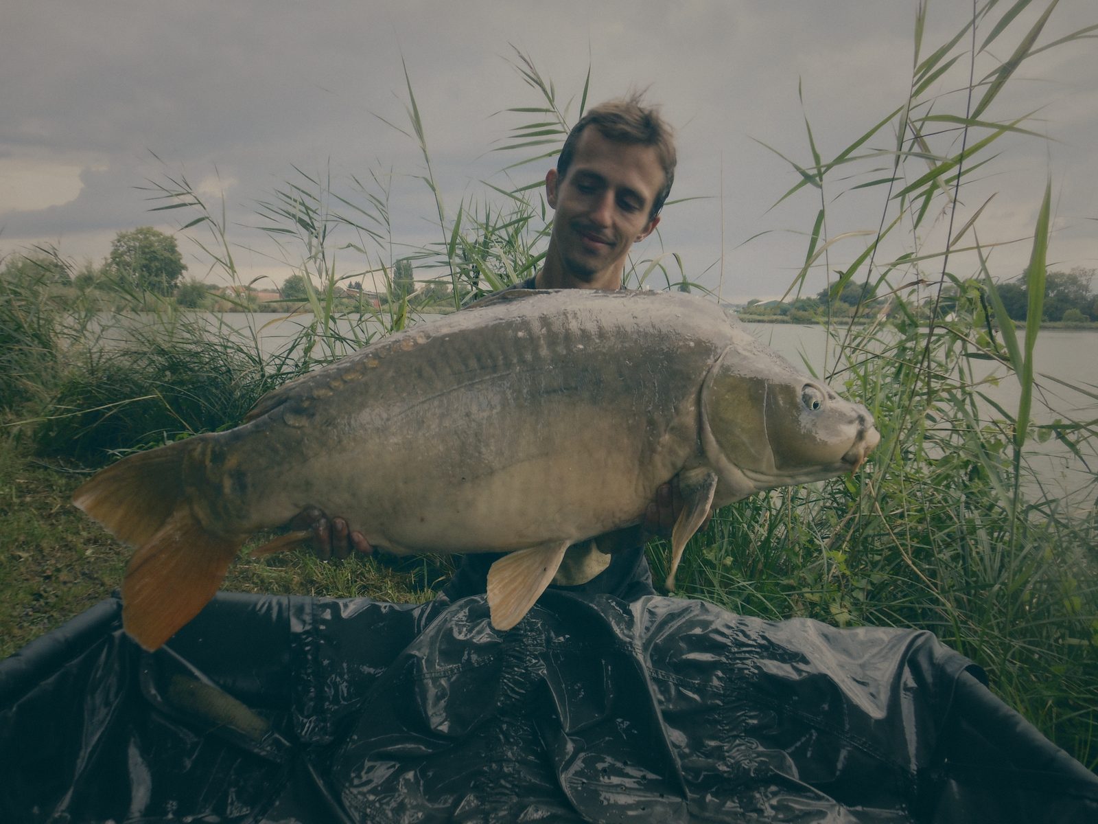 Styria Carp