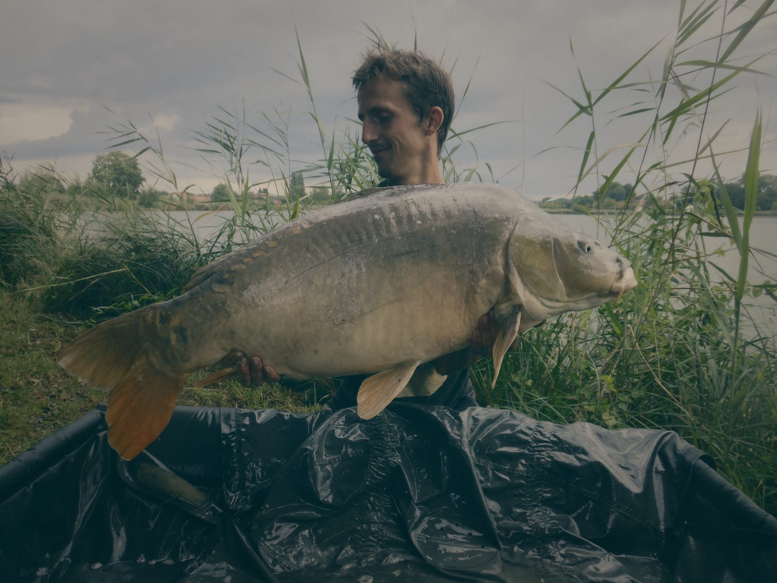 Styria Carp