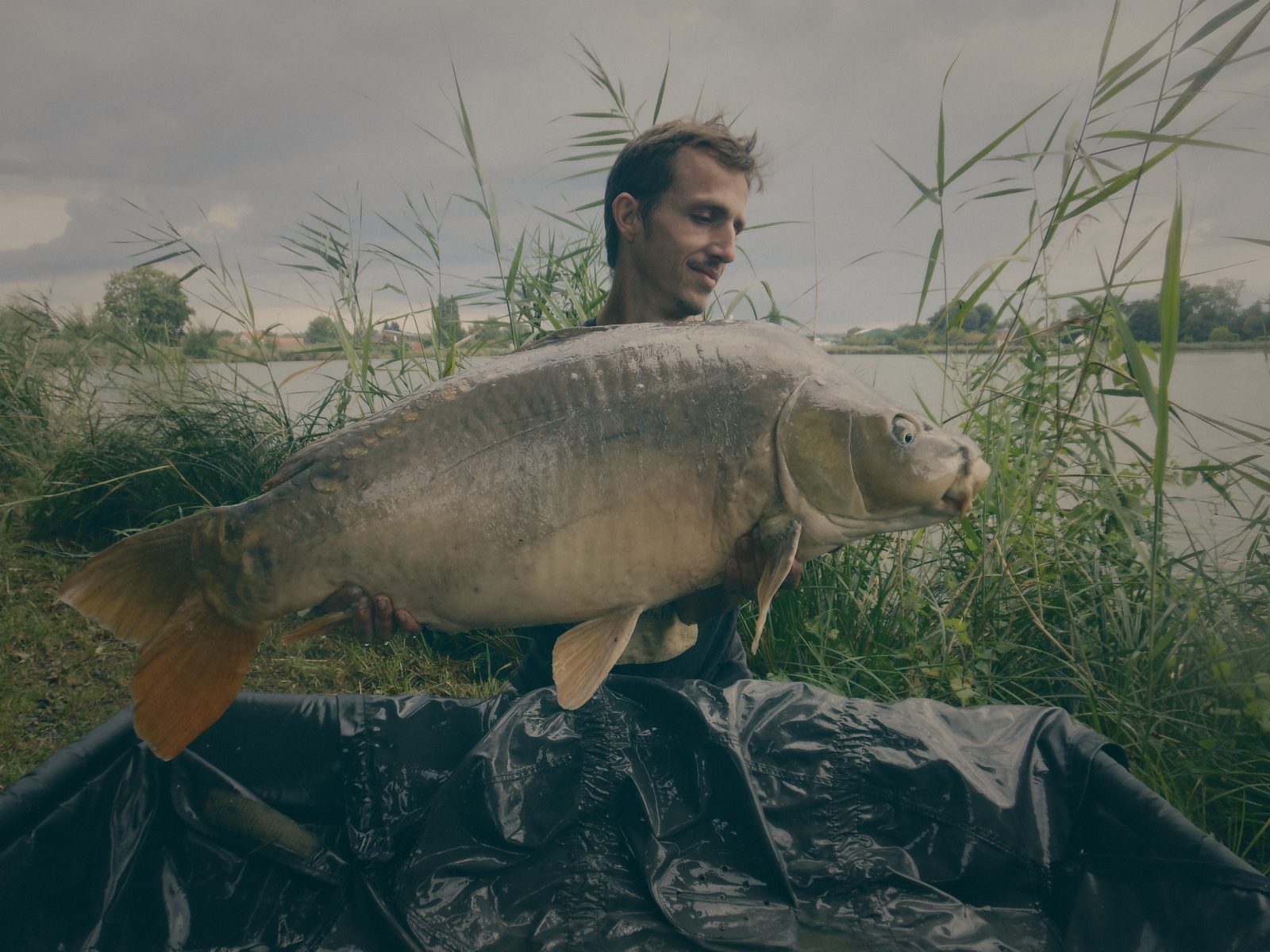 Styria Carp