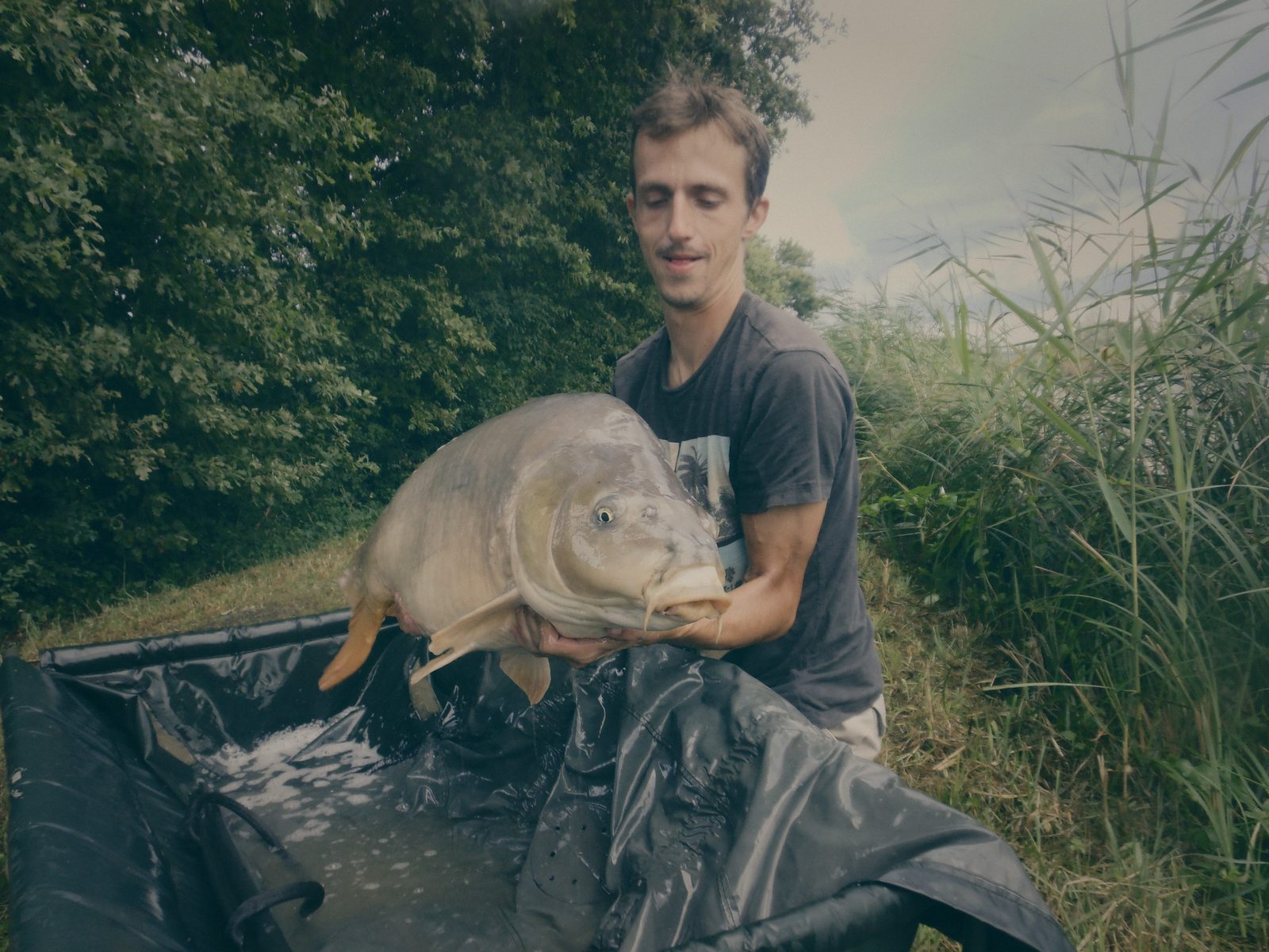 Styria Carp