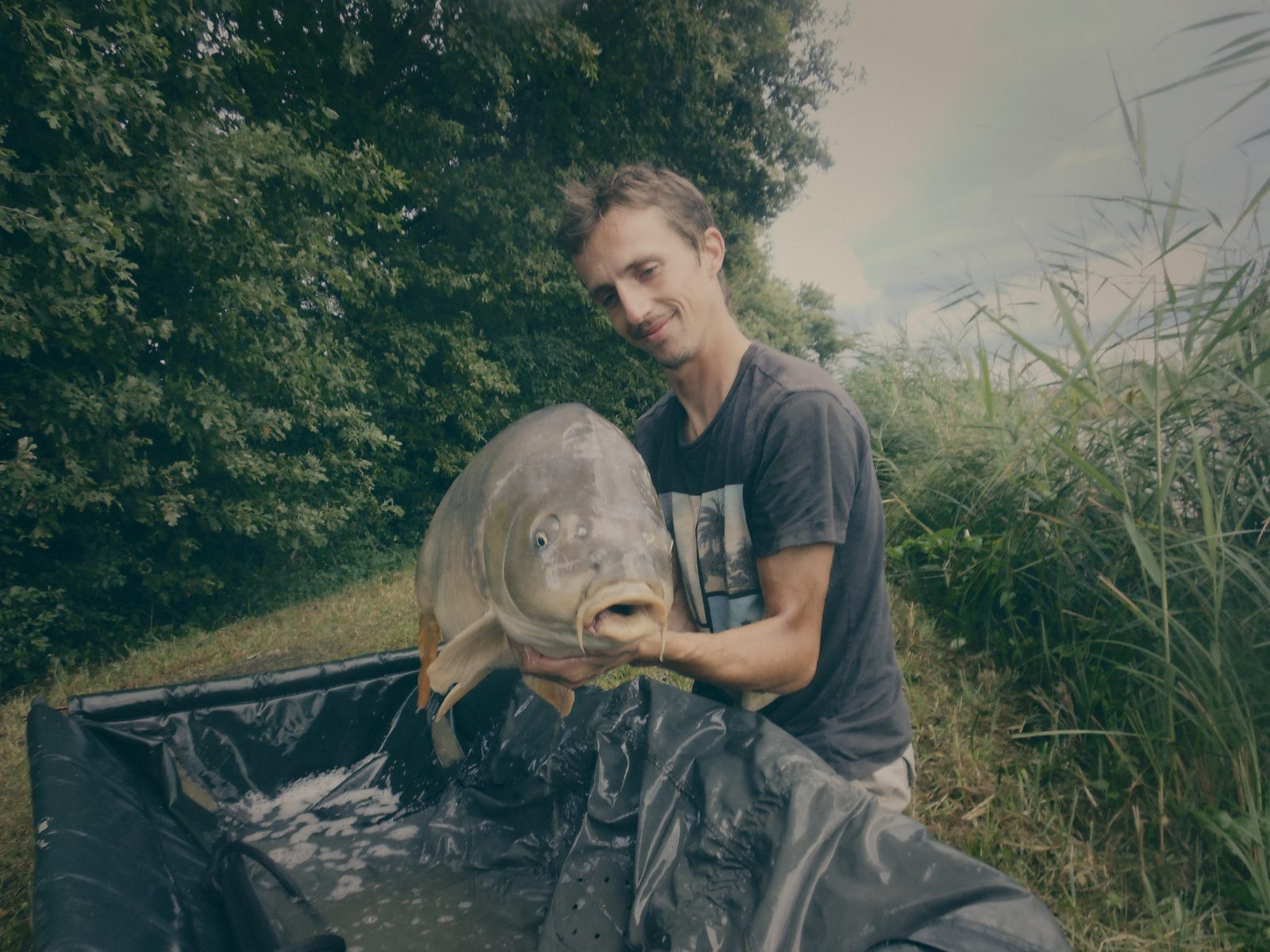 Styria Carp