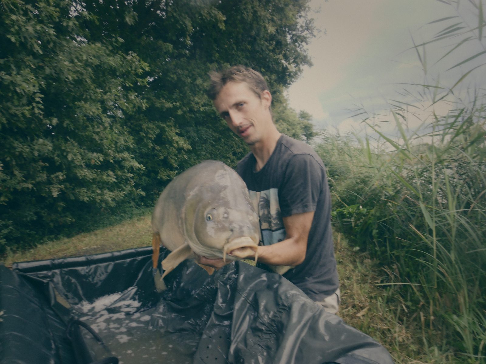 Styria Carp