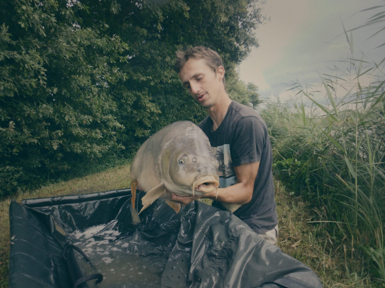 Styria Carp