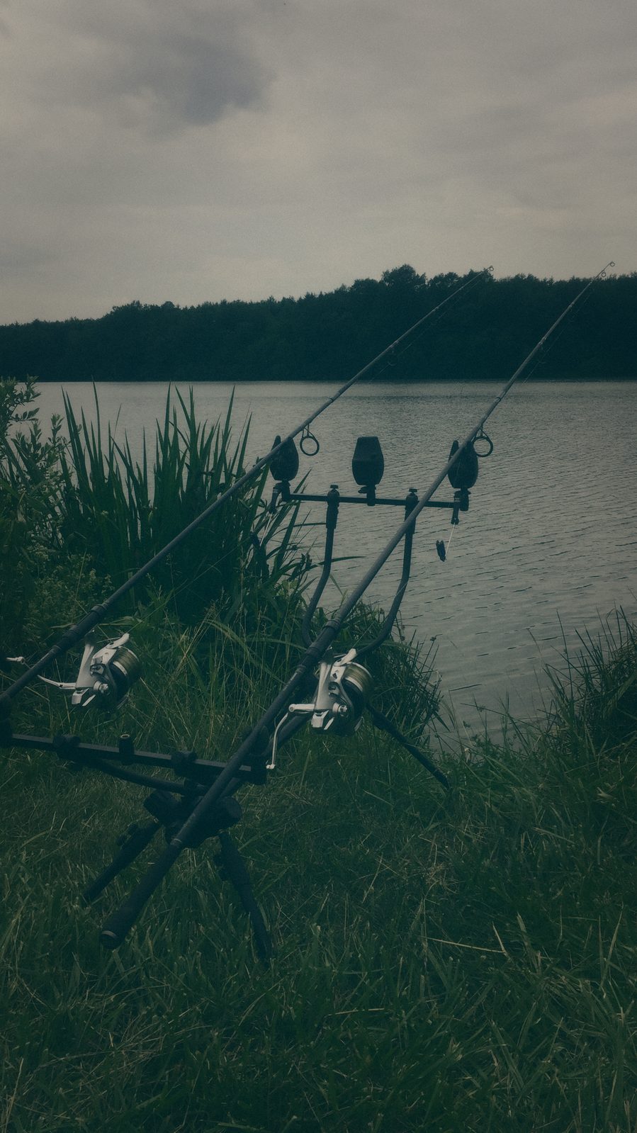 Styria Carp 2018