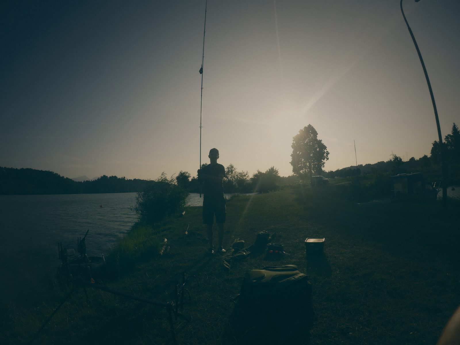 Styria Carp