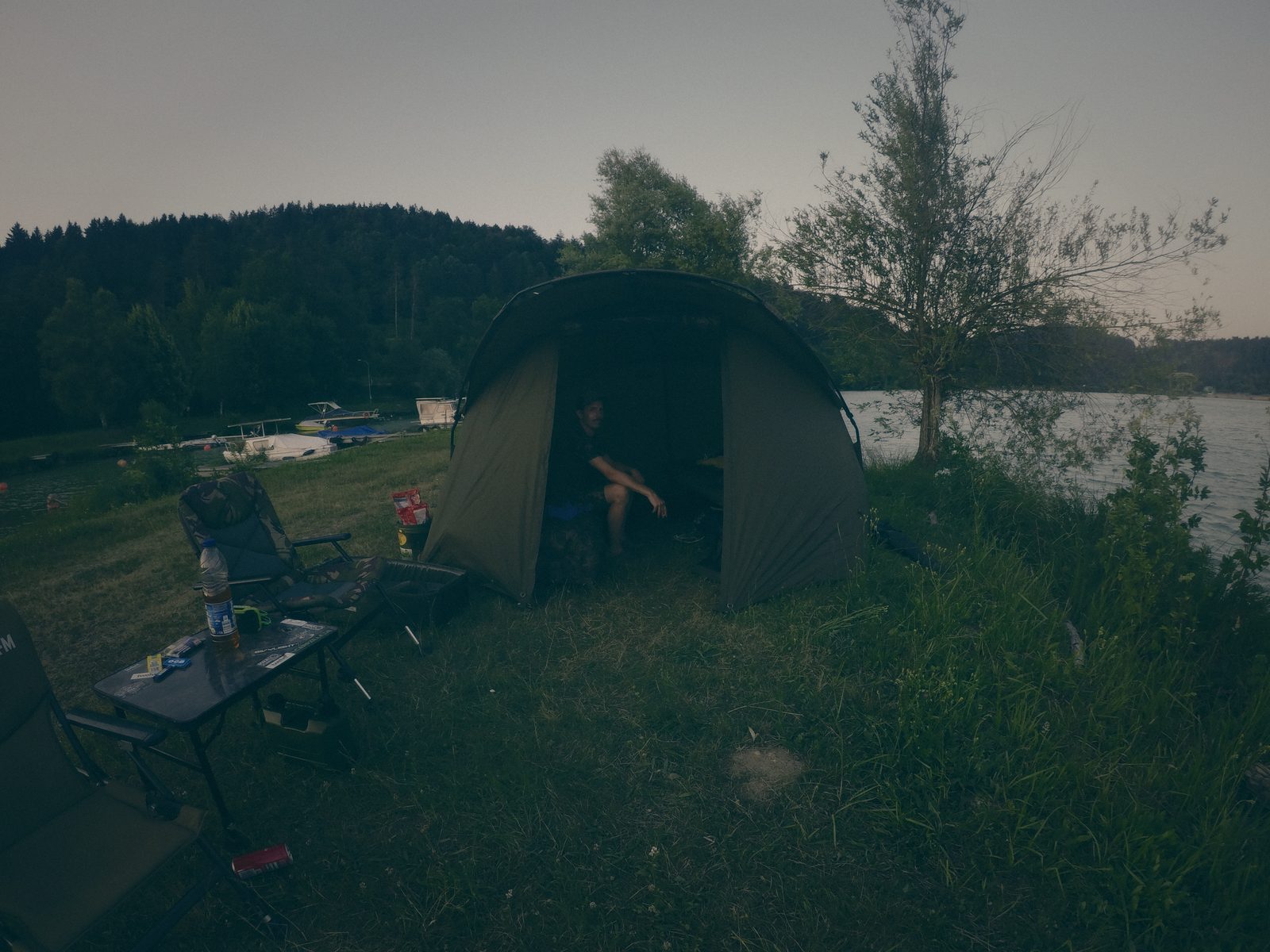 Styria Carp