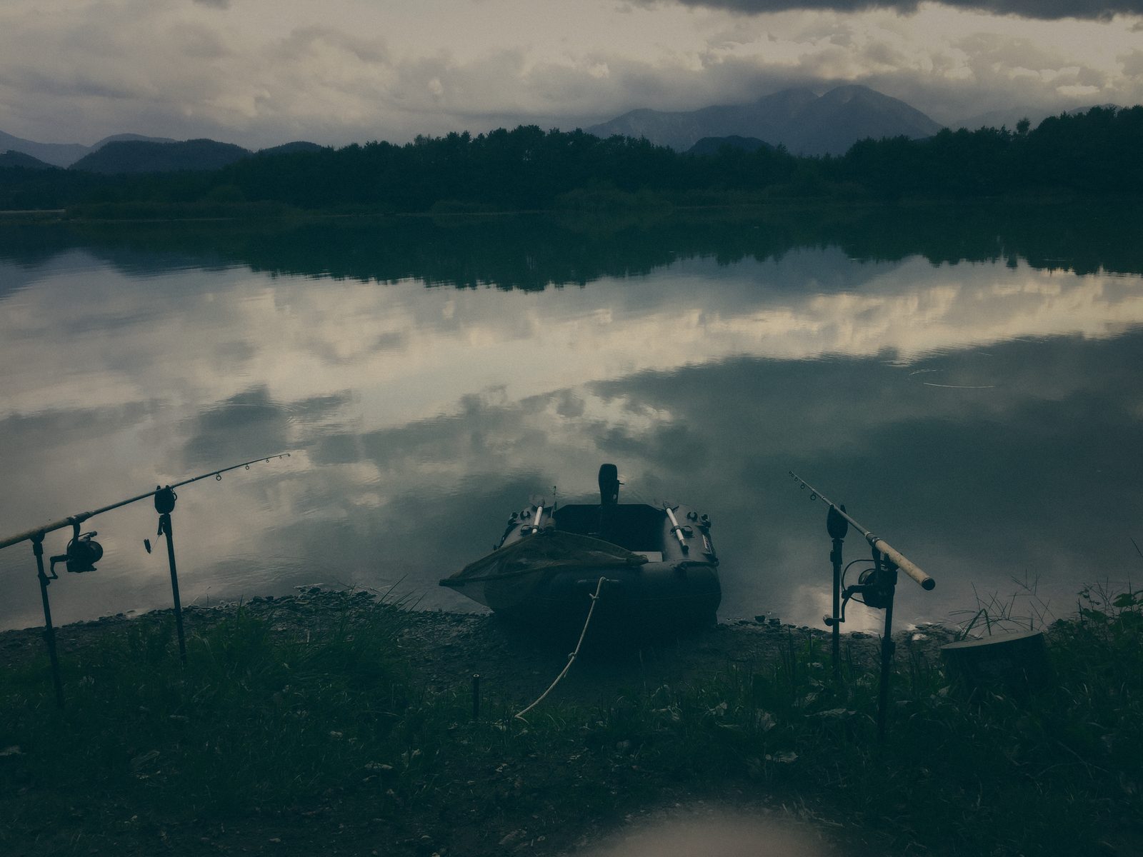 Styria Carp 2018