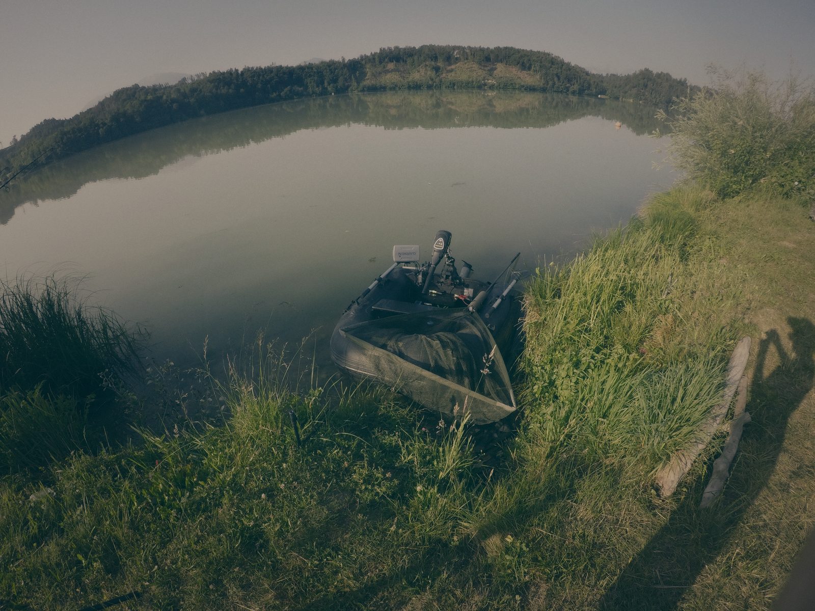 Styria Carp