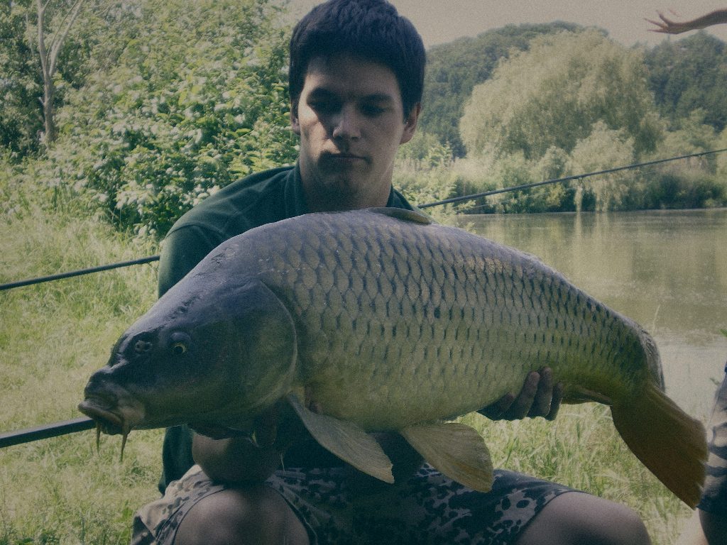 Styria Carp