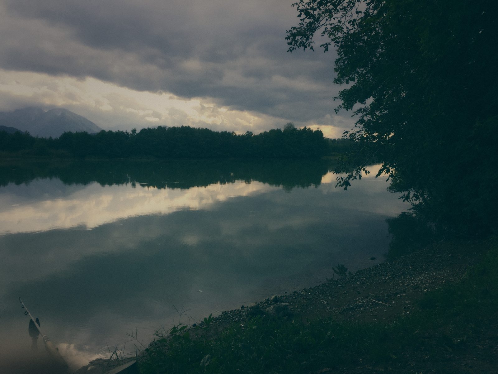 Styria Carp 2018