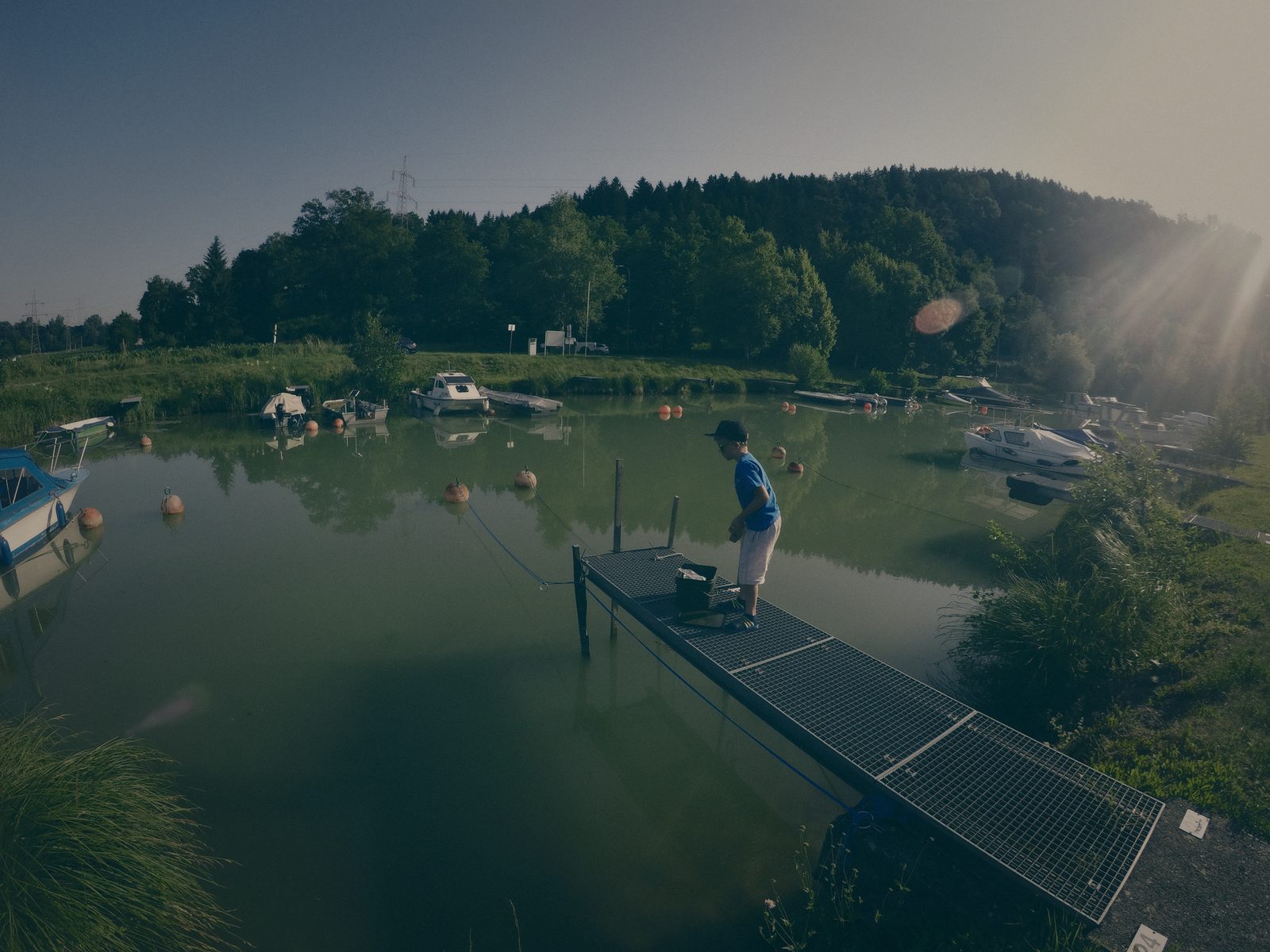 Styria Carp