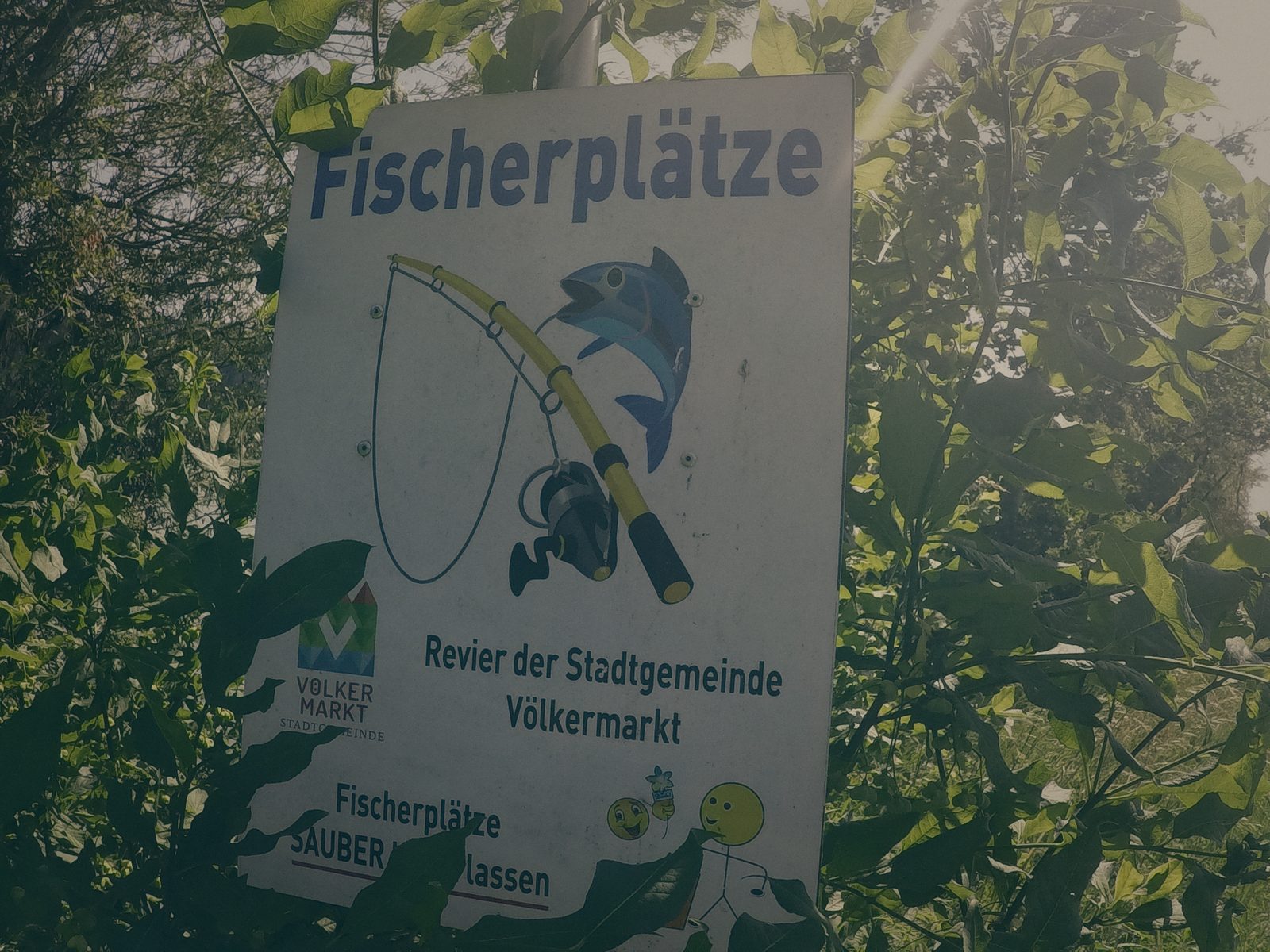 Styria Carp