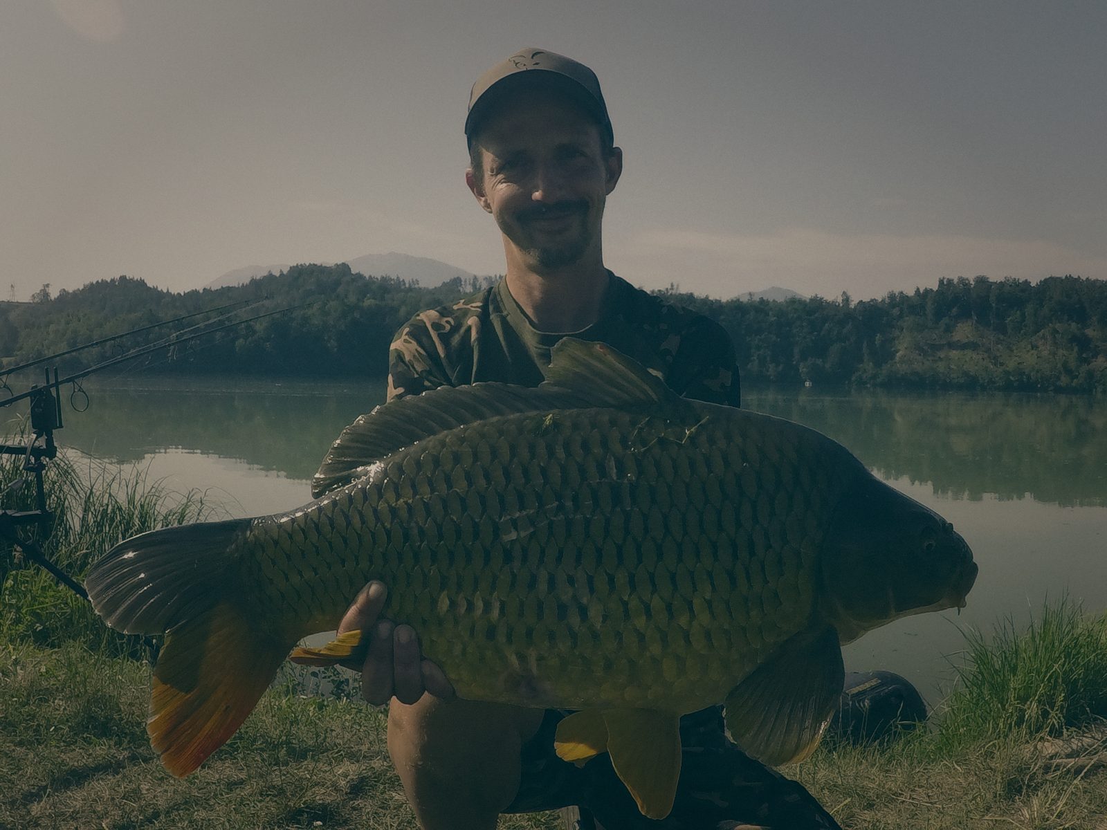 Styria Carp