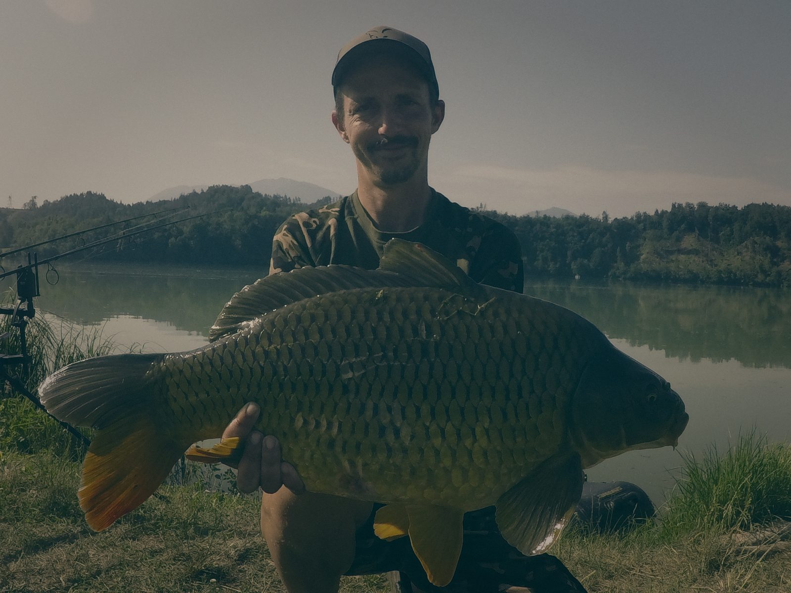 Styria Carp
