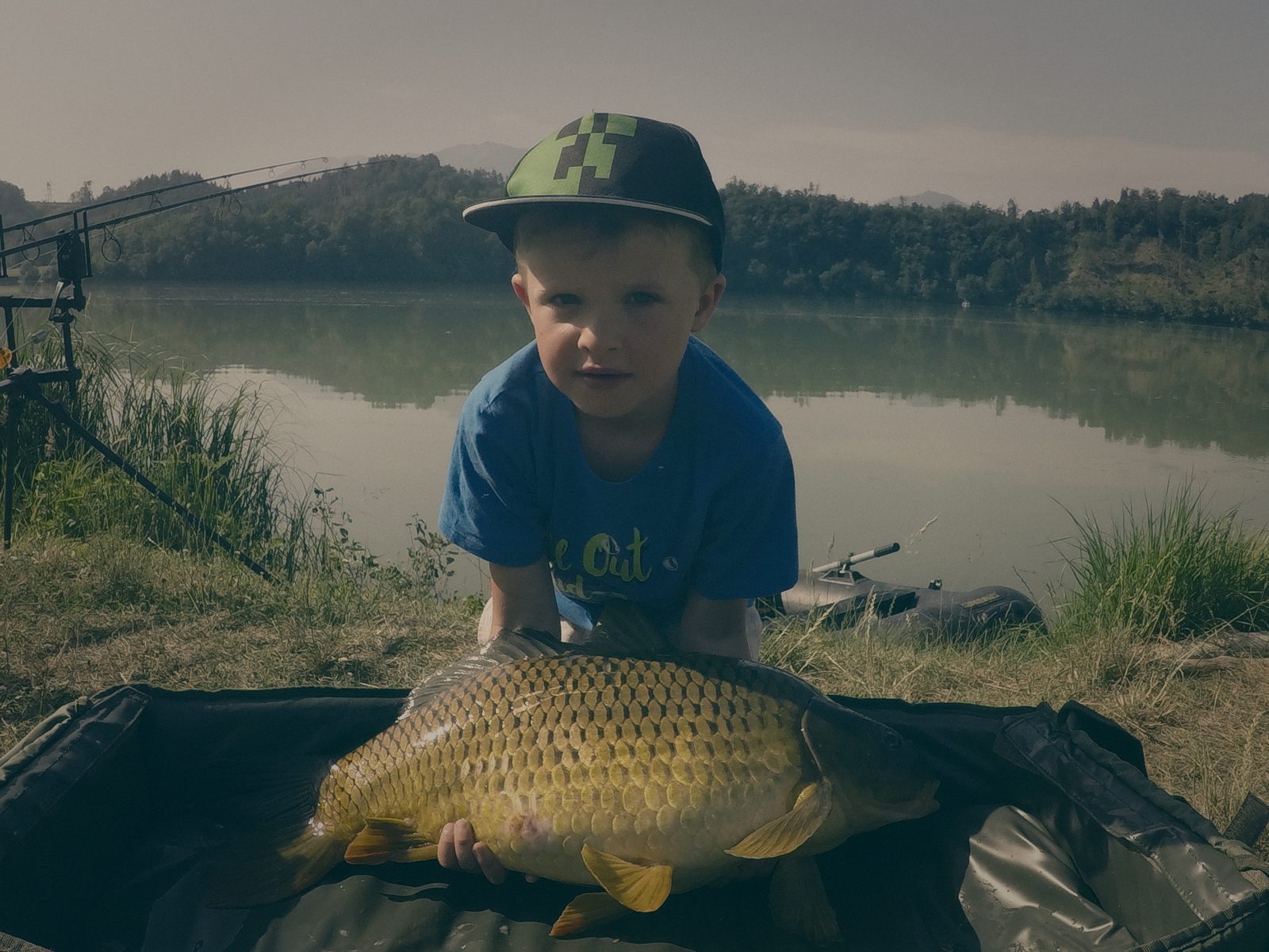 Styria Carp