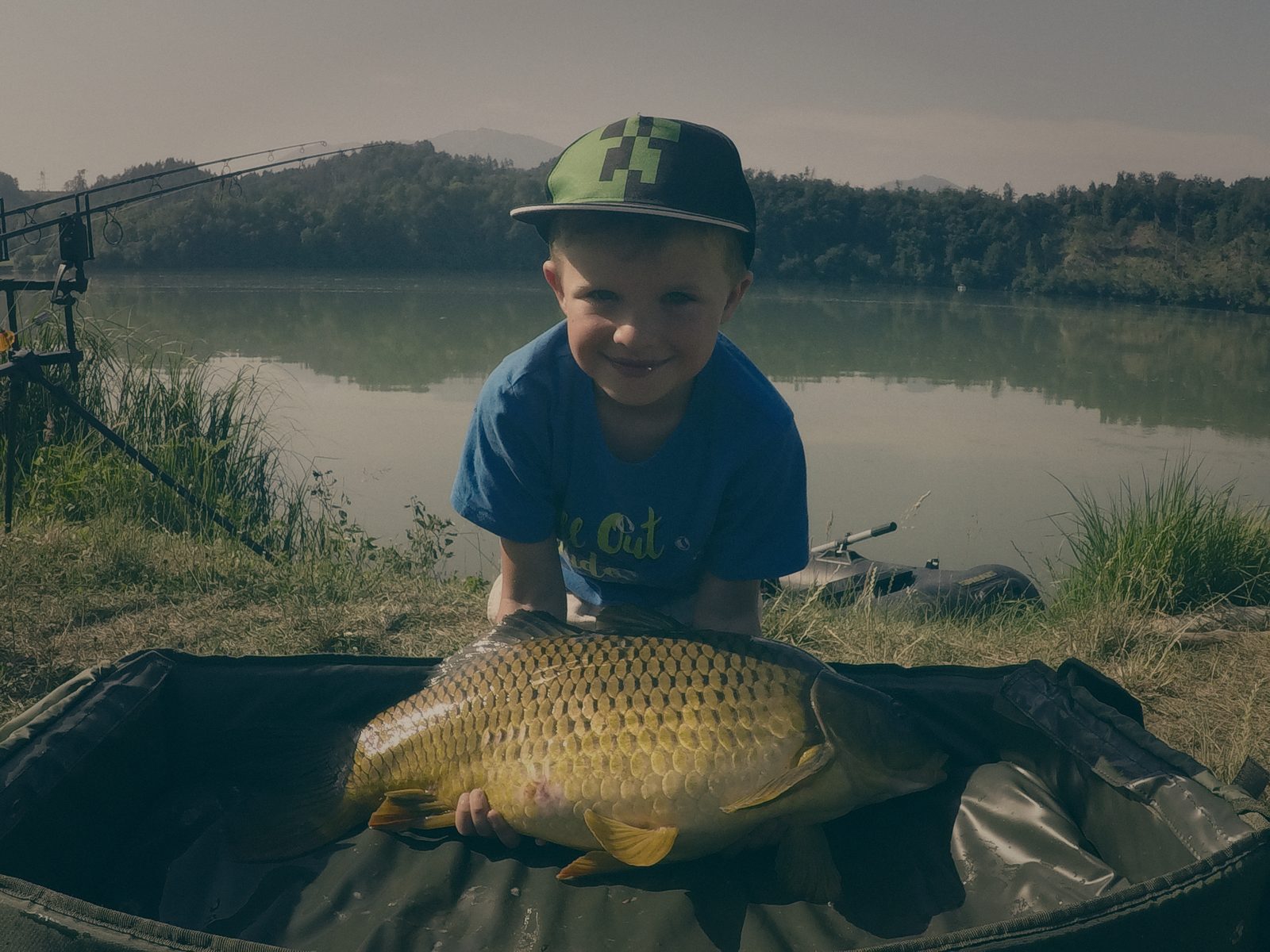 Styria Carp