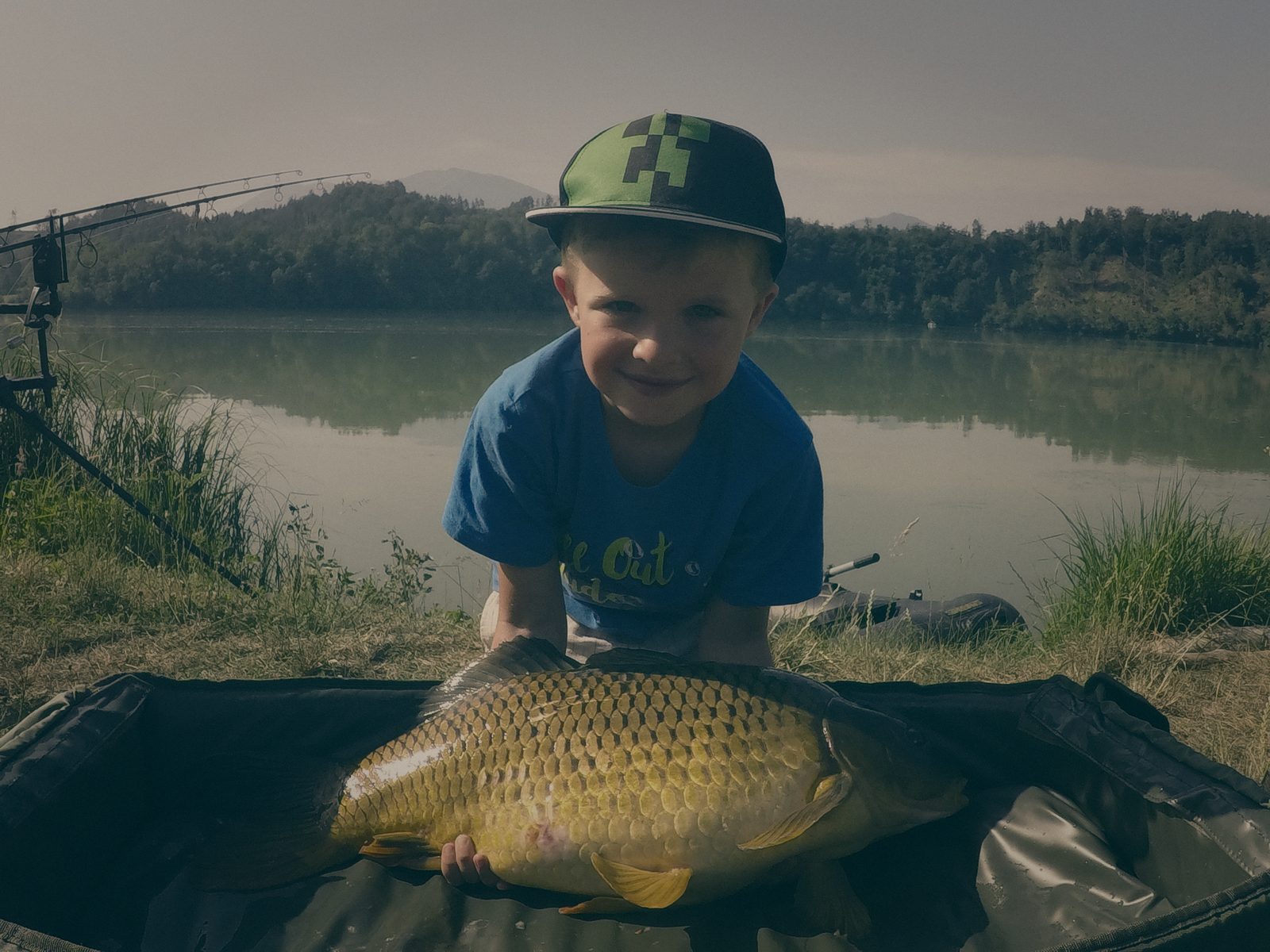 Styria Carp