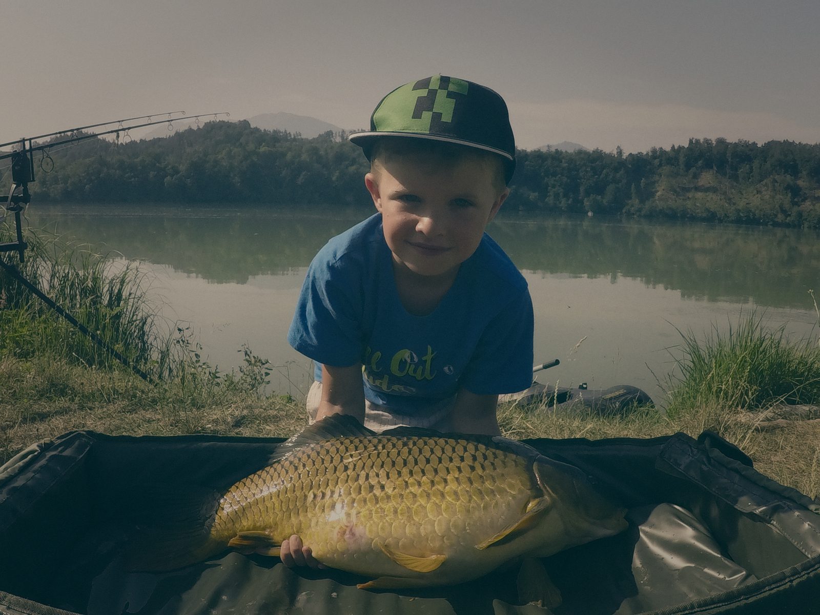 Styria Carp