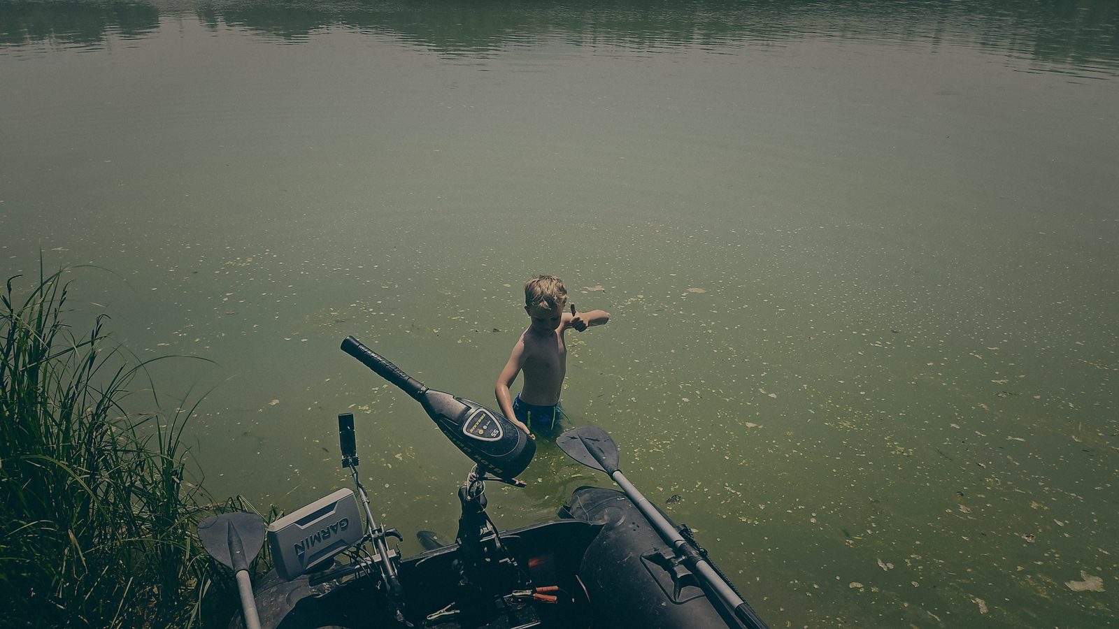 Styria Carp