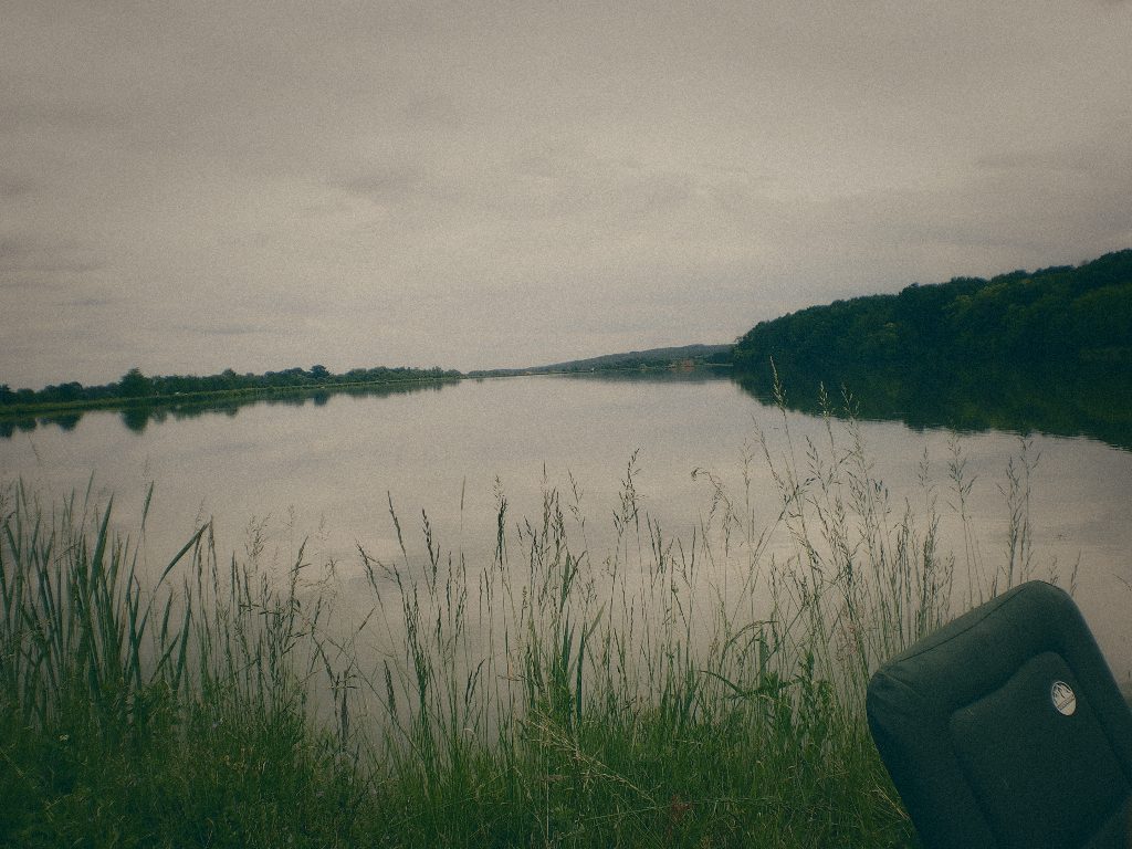 Styria Carp