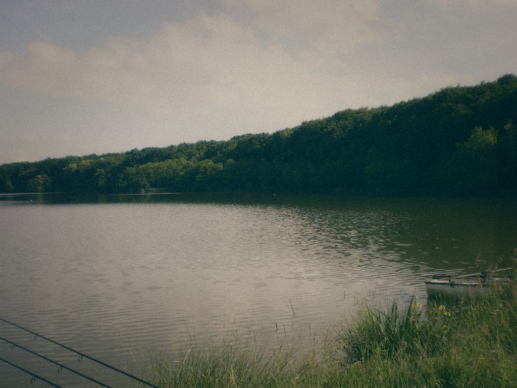 Styria Carp