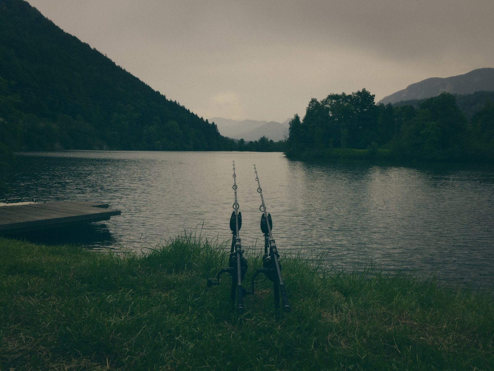 Styria Carp 2019