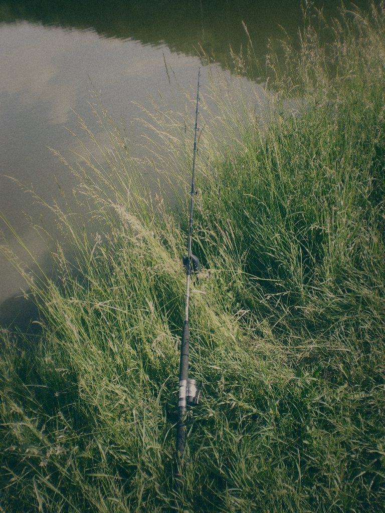 Styria Carp