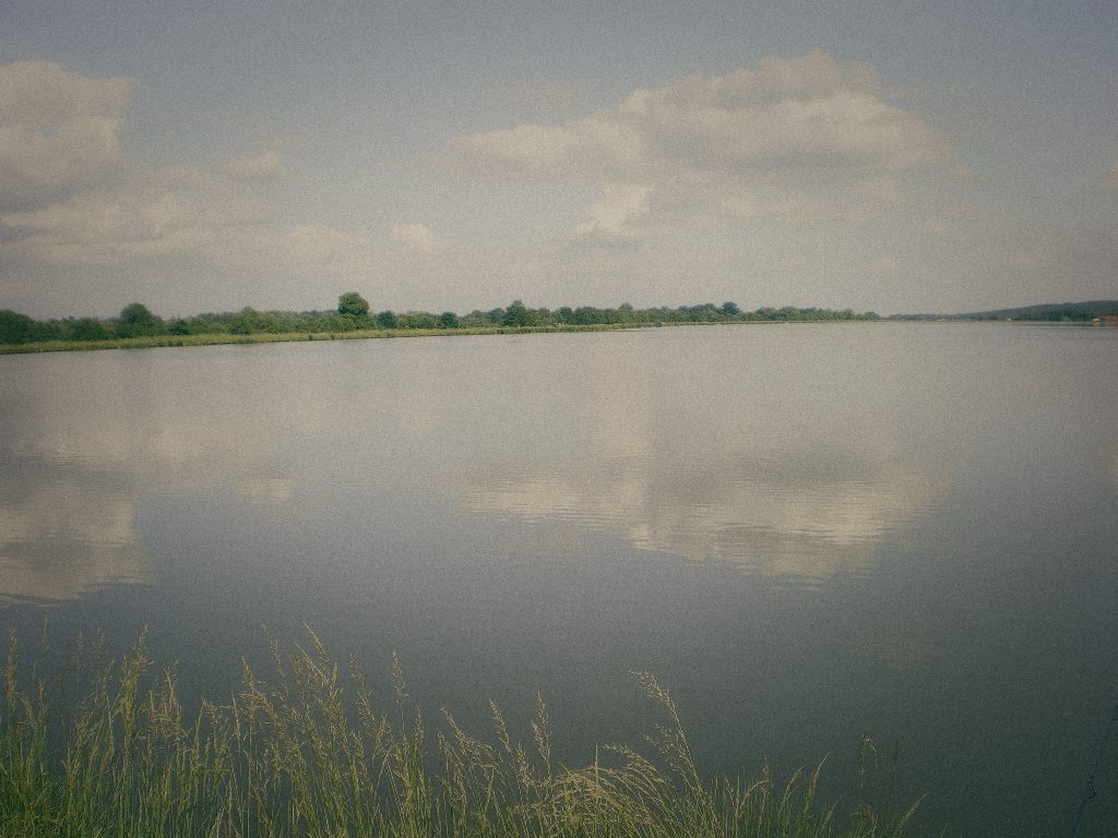 Styria Carp