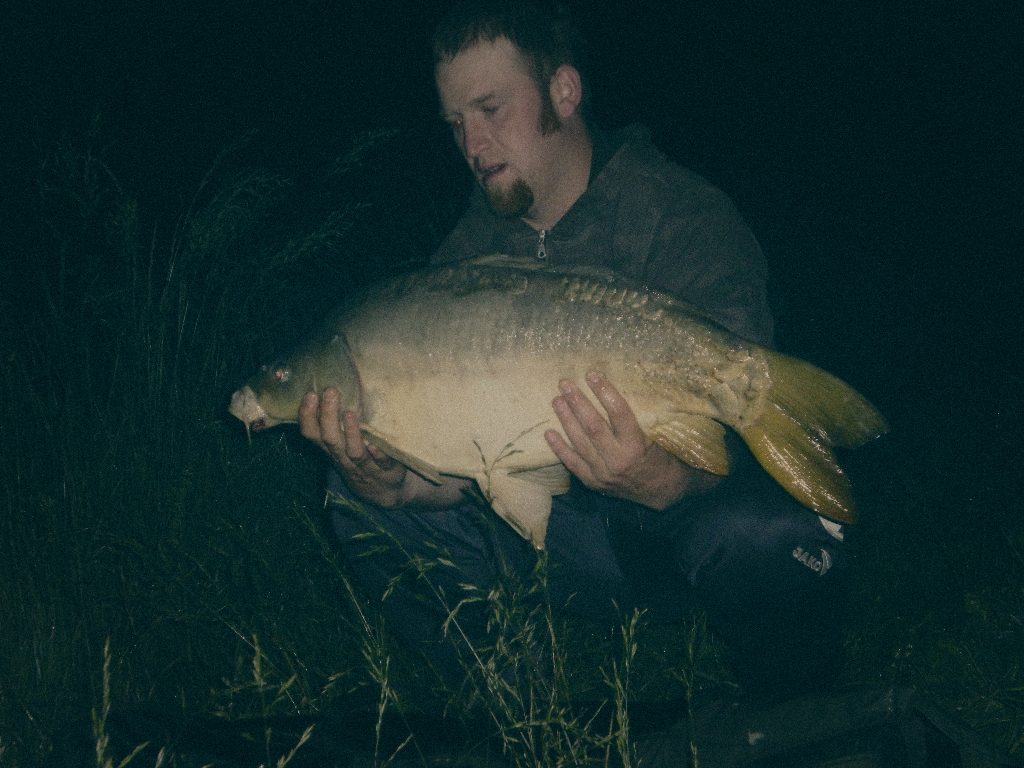 Styria Carp