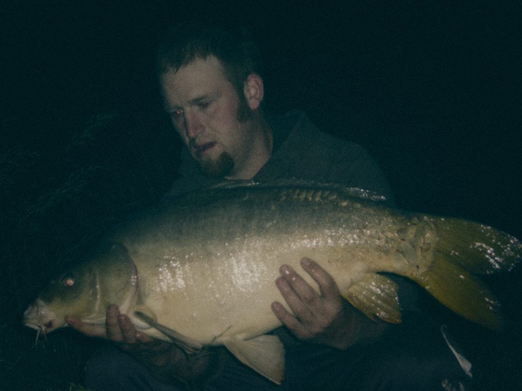 Styria Carp