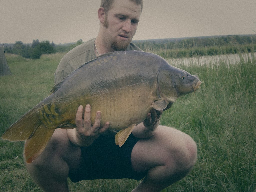 Styria Carp