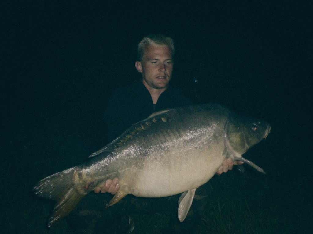 Styria Carp