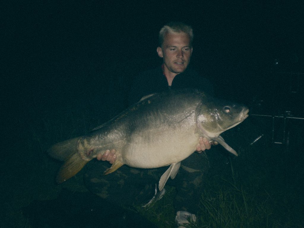 Styria Carp